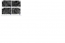 SEM mikrográf:tölgyfakéregbőlbiofaszén a)1200x,b)2500x,c)6500x,d)10000x nagyítás