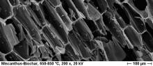 A mischantus bioszén mikroszkópikus felvétele