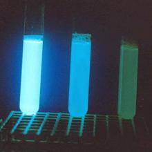 Vibrio fischeri direkt kontakt, lumineszcencia gátlási teszt a sötétben