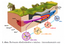 A biobarrier elhelyezkedése a talajban